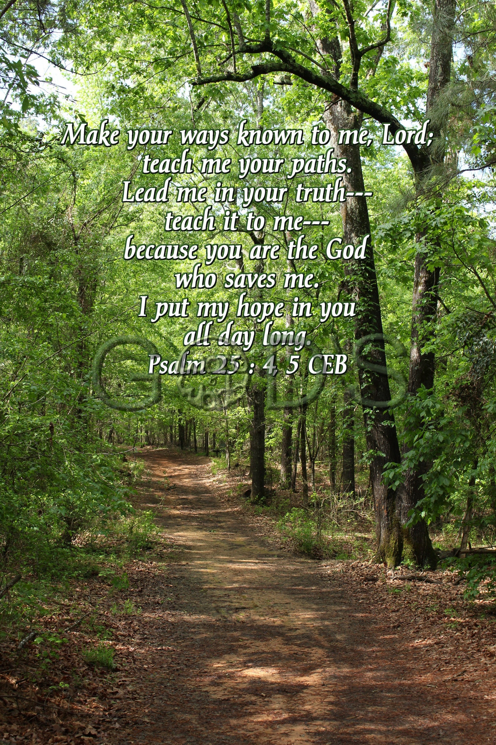 Psalm 25 4 5 CEB Scripture Picture Walking Trail Bringle Lake Psalm 25 4 5 ceb scripture picture walking trail bringle lake