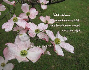 Proverbs 13:12, KJV, Scripture Picture, Item 137, Heart Sick, Tree of Life, Pink Dogwood Blooms. Old Testament Verse, Hope, Scripture Photo