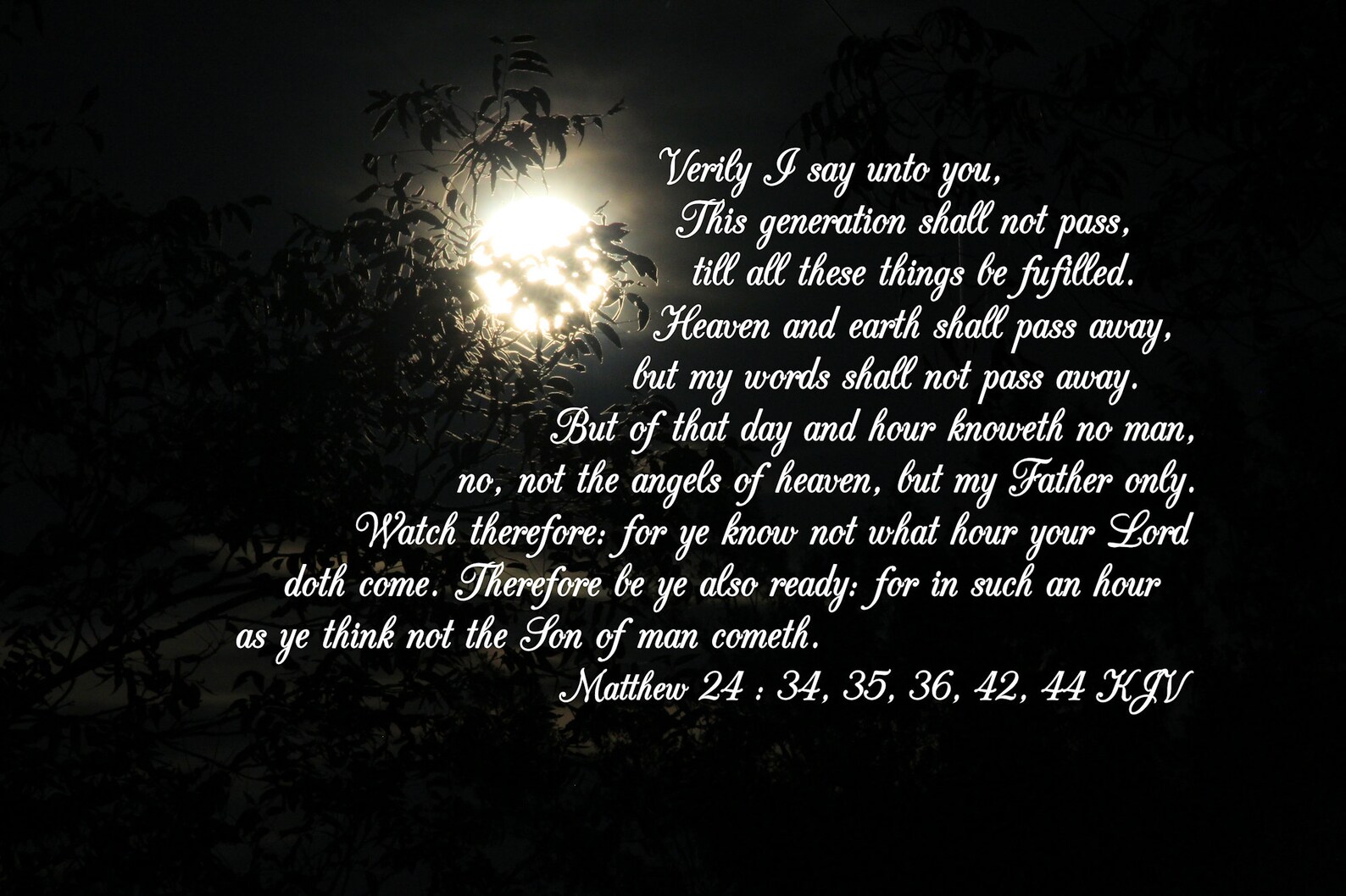 Matthew 24 34 35 36 42 44 KJV Scripture Photo Moon Rising October 