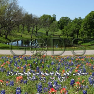 Psalm 23:2B, KJV, Scripture Picture, Bluebonnets, Ennis, Texas, Indian Paintbrush, Lake
