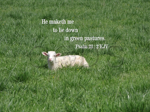He Makes Me Lie Down In Green Pastures {Outdoor Door Mat} He Makes Me Lie Down In Green Pastures {Outdoor Door Mat}