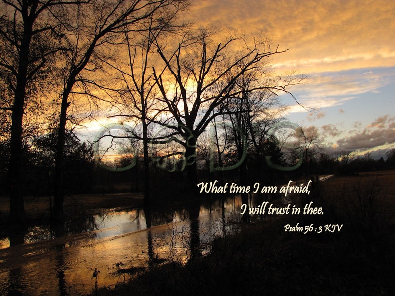 Scripture Picture Psalm 56:3 KJV After The Storm Item 206 | Etsy