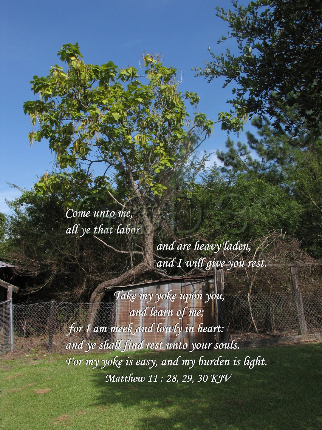 Matthew 11 28 29 Kjv