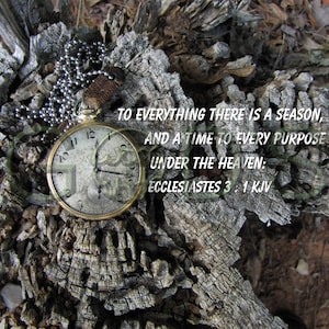 May include: A vintage pocket watch with a gold-toned case and Roman numeral markings on the face. The watch is resting on a weathered tree stump with the text "TO EVERYTHING THERE IS A SEASON, AND A TIME TO EVERY PURPOSE UNDER THE HEAVEN: ECCLESIASTES 3:1 KJV".