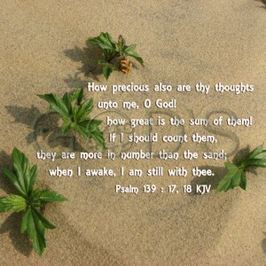 Psalm 139:17, 18 KJV, Scripture Picture, Beach, Xiamen China, Sand, Comfort, Seashore, Nature Photography, Scripture Photo