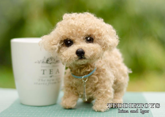Puppy Handmade Tea Cup Poodle, Micro Poodle, Toy Puppy, Mini Poodle  Portrait Pet Animal by Photo Gift - Etsy