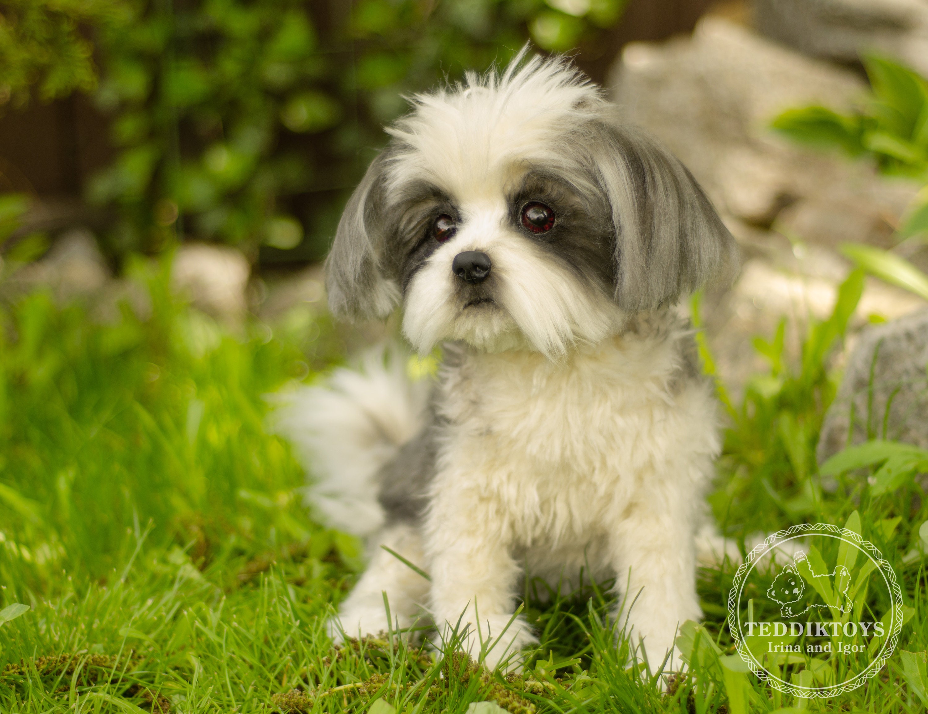 Custom Shih Tzu Pet Replica: Made-to-Order Dog Portrait