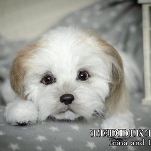 Realistic Shih Tzu Puppy: Handmade Collectible Plush Dog (Made to Order)