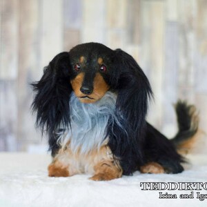 May include: A black and tan dachshund plush toy with a blue and white fur collar. The toy has red eyes and a black nose. The toy is sitting on a white surface.