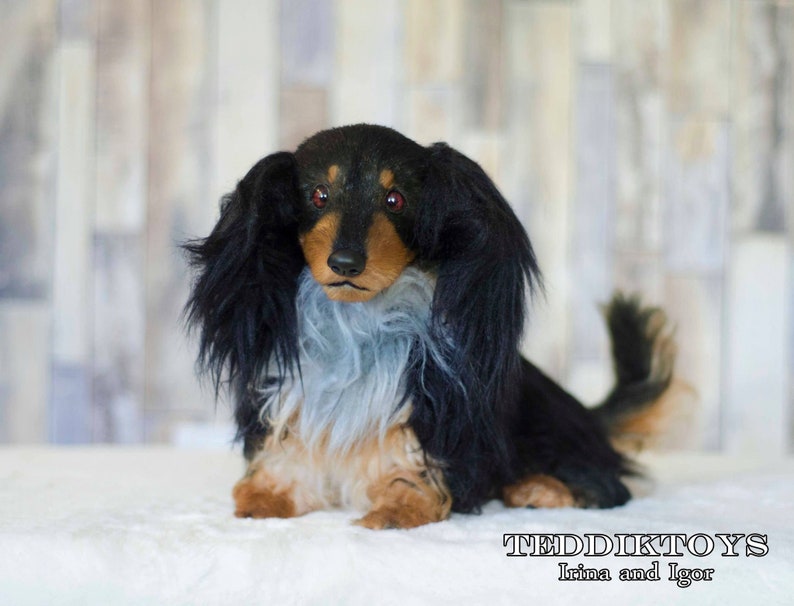 May include: A black and tan dachshund plush toy with a blue and white fur collar. The toy has red eyes and a black nose. The toy is sitting on a white surface.