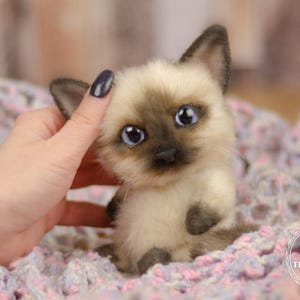 Handmade Realistic Kitten – 15 cm, Custom Color Available