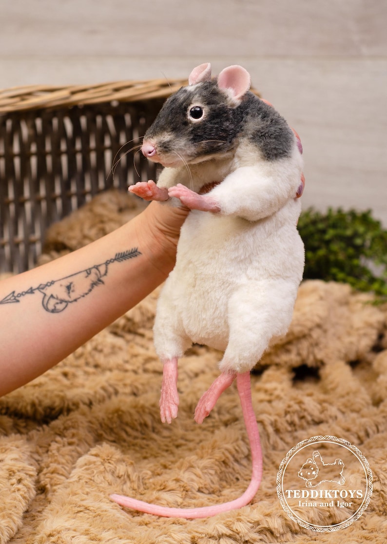 Pu&ograve; includere: Un giocattolo di peluche a forma di ratto con pelliccia bianca e nera, orecchie rosa e coda rosa. Il ratto &egrave; tenuto da una persona con un tatuaggio sul braccio. Il giocattolo &egrave; seduto su una superficie pelosa marrone.