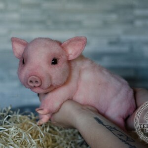 Handmade pig , toy pig, custom order