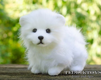 犬　三英　スピッツ　ポメラニアン　ぬいぐるみ 手作りスピッツのぬいぐるみ犬：重みのあるテディベア - Etsy 日本