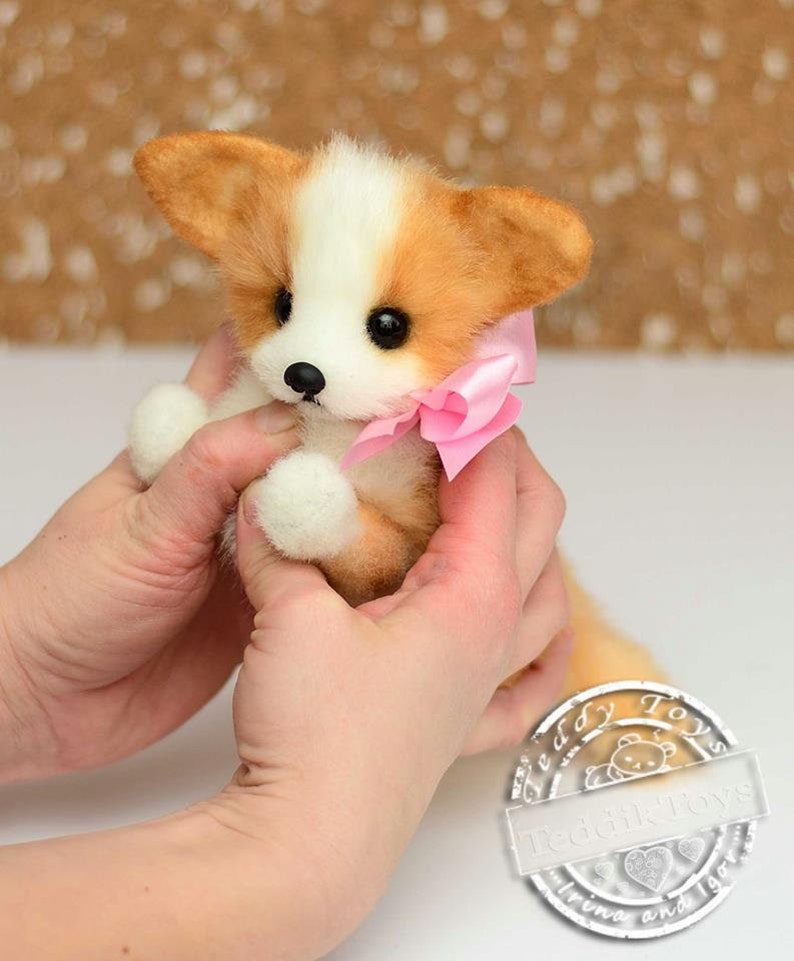 Welsh Corgi made to order Dog Plush Toy, Puppy Plush, Dog Stuffed Animal, Stuffed Toy image 2