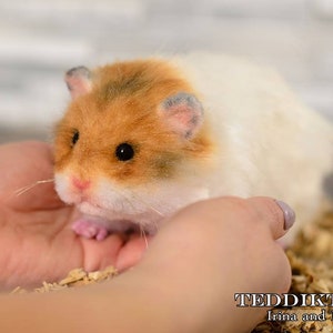 Hamster Candy ,(make to order) handmade toy , Portrait pet , handmade animal by photo