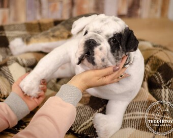 カスタムハンドメイドブルドッグ子犬ぬいぐるみ - フェイクファー製の