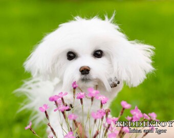 手作りのぬいぐるみマルチーズ犬：ポーズを変えられるテディベア