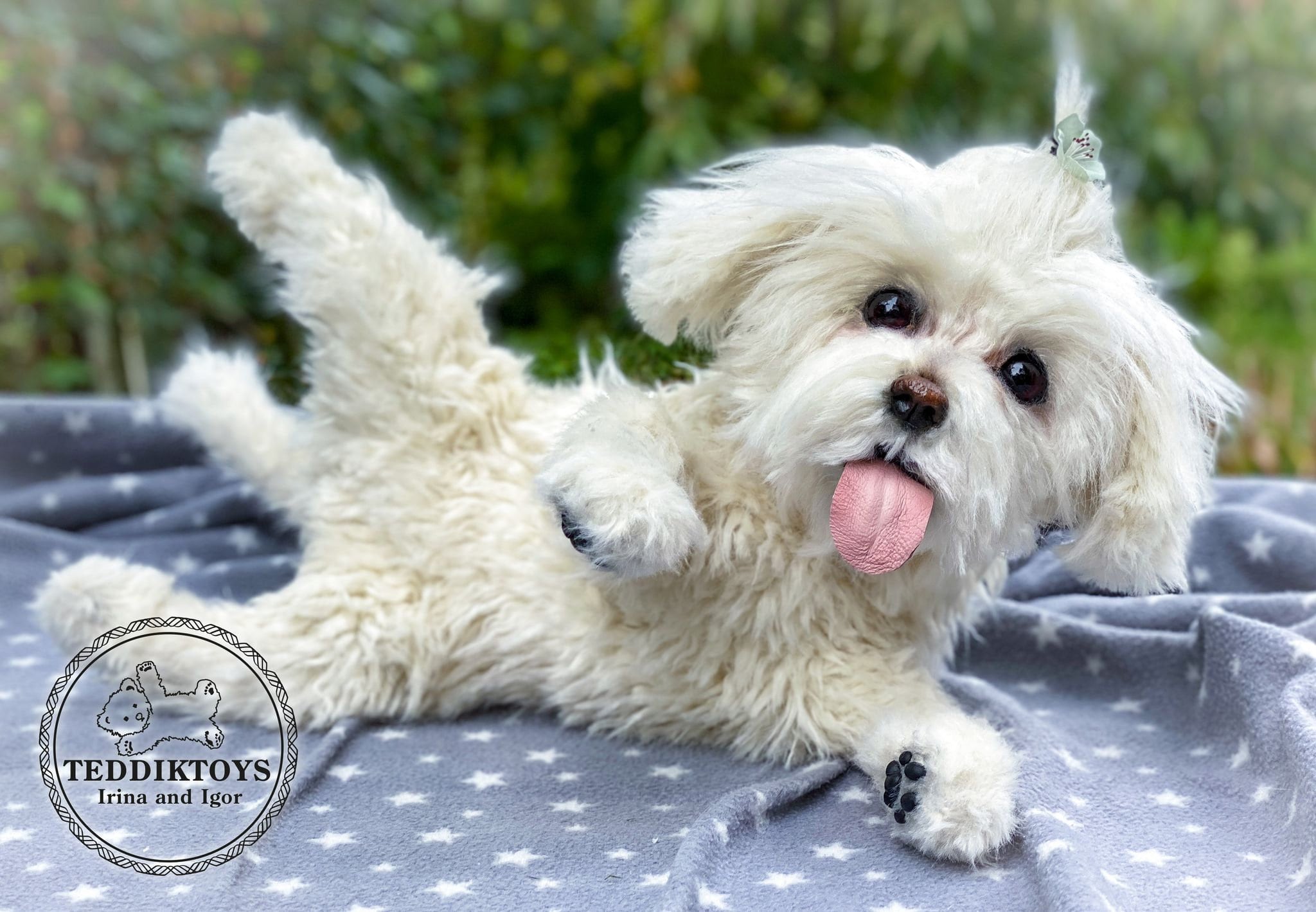 手作りマルチーズ犬のぬいぐるみ：ポーズが取れるテディベア（受注生産