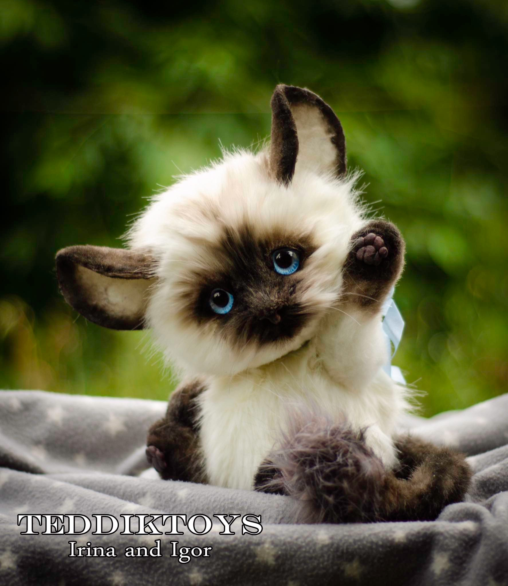 Gato De Peluche Barkbox En Juguete Interactivo De Peluche Para