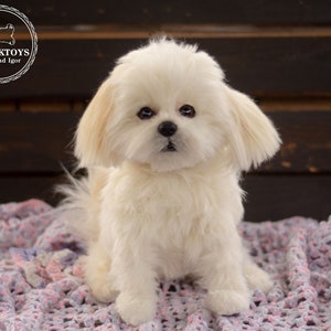 Realistic Shih Tzu Teddy Dog Plush Toy - Handmade Portrait Artisan Collectible