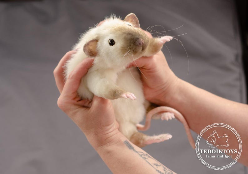 Pu&ograve; includere: Un giocattolo di peluche di ratto bianco e marrone tenuto da due mani. Il ratto &egrave; in posa con le zampe anteriori alzate e la coda arrotolata attorno al suo corpo. Il ratto ha un naso rosa e occhi neri.