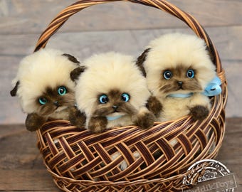 Kitten (made to order), cat, cat Teddy, Teddy, Kitten, author&#39;s work