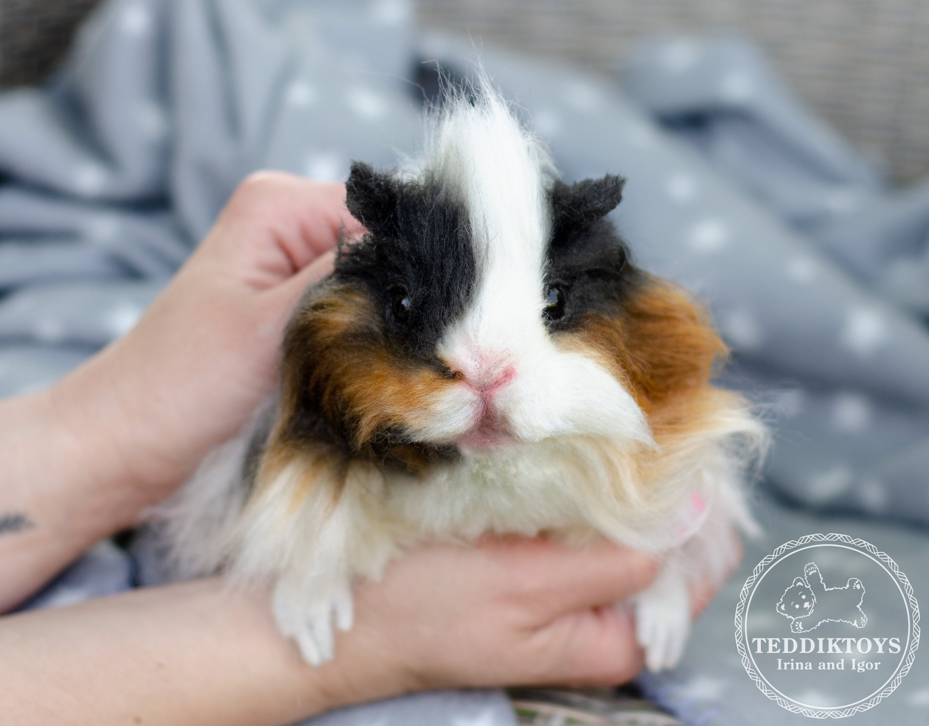 Toys for Guinea Pigs Etsy Canada