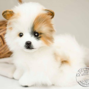Spitz Chloe,  Artist dog collectible toy  Portrait pet spitz animal by photo gift (made to order)
