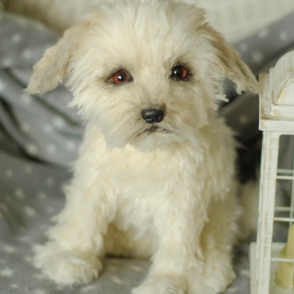 Realistisch shih-tzu-knuffel: aangepast huisdierherdenkingscadeau