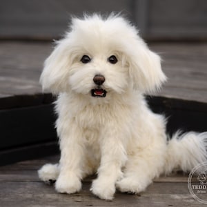 Handmade Shih Tzu Plush Toy: Realistic Collectible Teddy Dog (Made to Order)