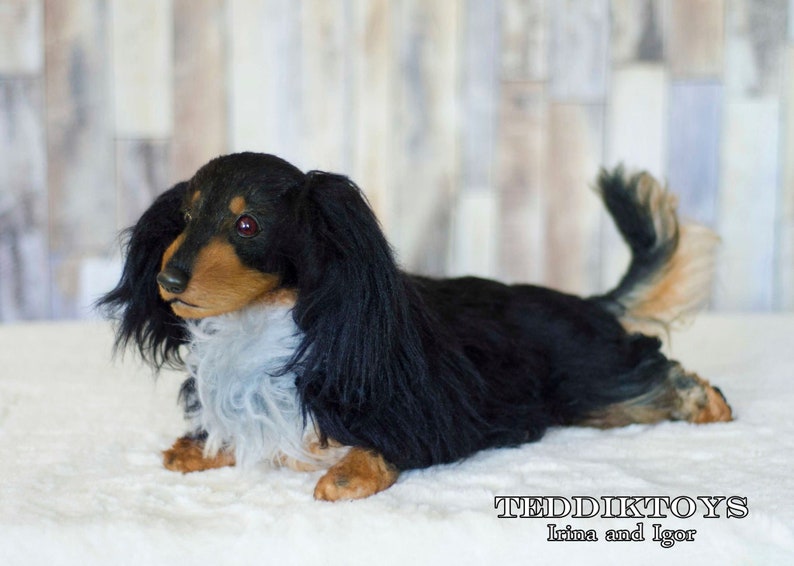 May include: A black and brown plush dachshund dog toy with white fur on its chest. The toy is lying on a white surface.