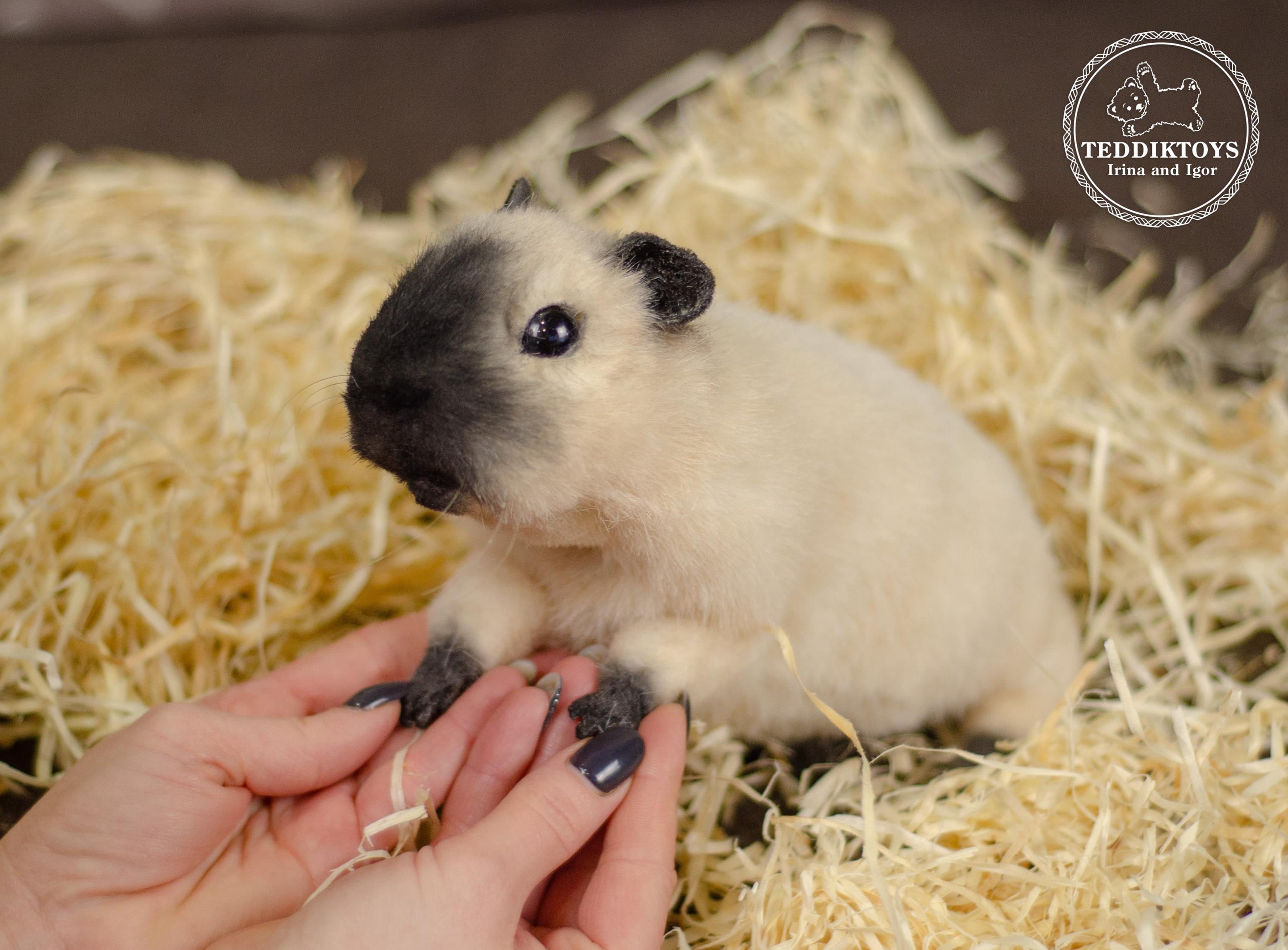 Realistic Handmade Guinea Pig Plush – Custom Order, Poseable