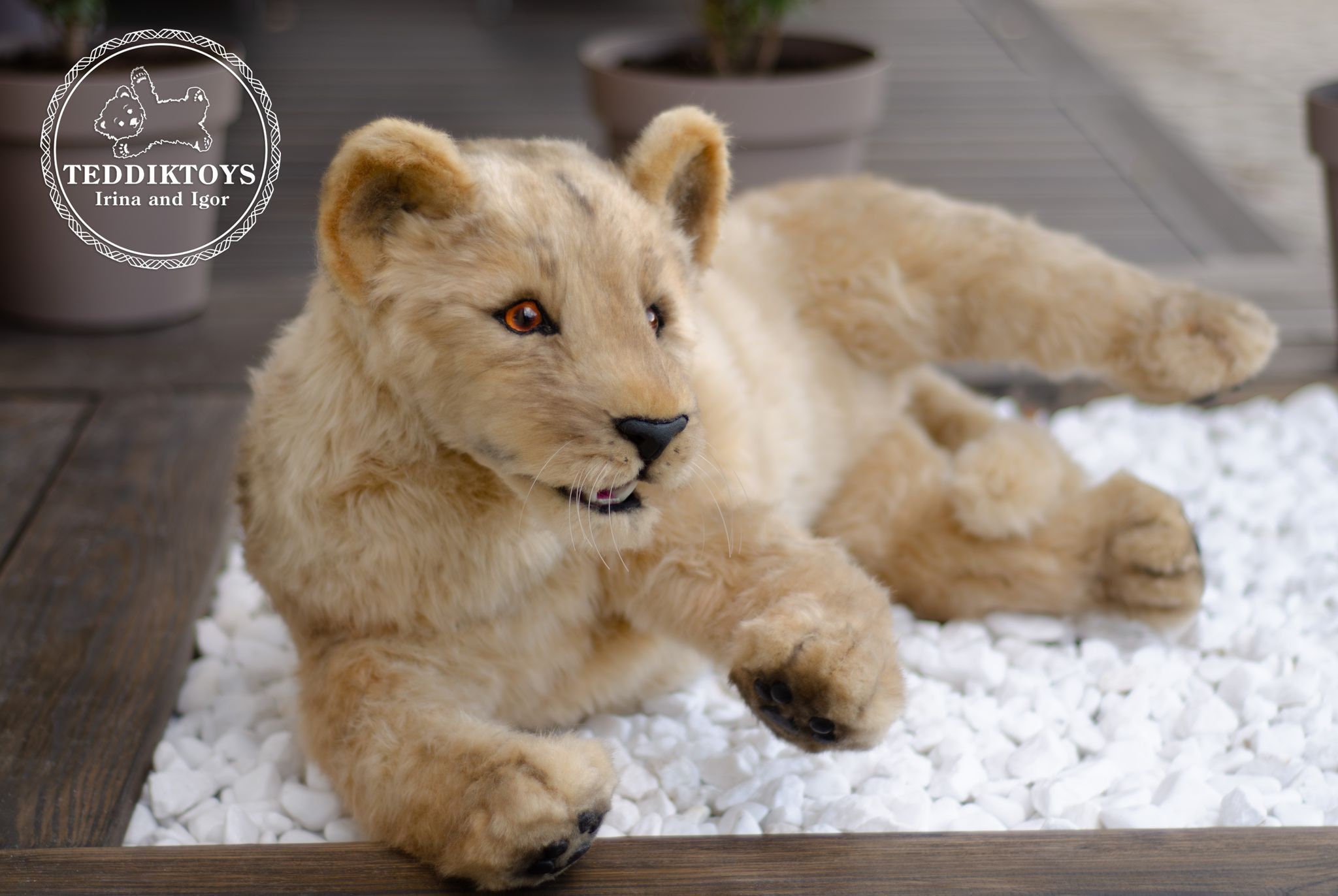 人形 Cocoriang Lion Poi Cocoriang Lion Poi 人形 Cocoriang Lion Poi Cocoriang – Dolk BJD