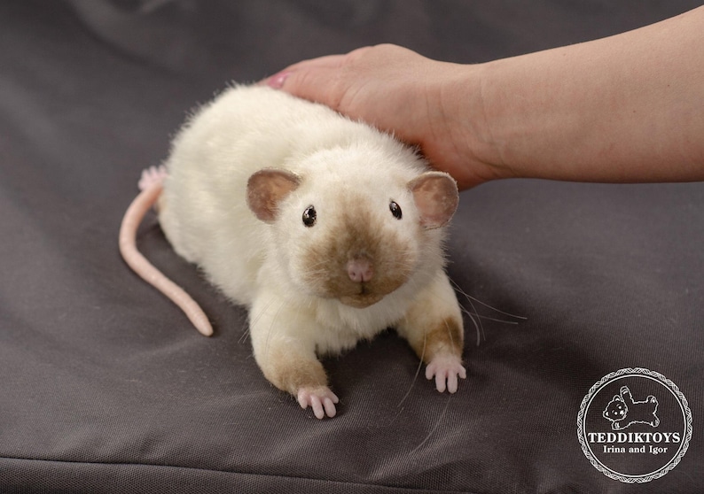 Pu&ograve; includere: Un ratto di peluche bianco con il naso marrone e le orecchie rosa. Il ratto &egrave; sdraiato su una superficie grigia.