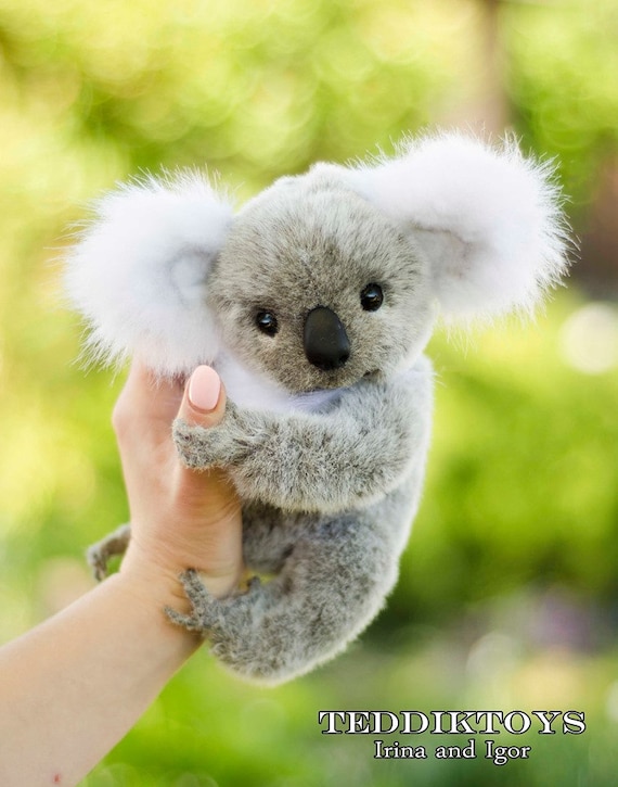Koala teddies hotsell