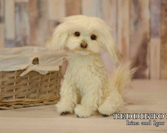 Maltese Molly , teddy dog ,Teddy ,Toy , dog ,plush dog, (made to order)