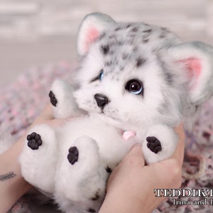 May include: A small, white and gray plush toy wolf pup with blue eyes. The pup is wearing a pink bow and is being held by a person's hands.
