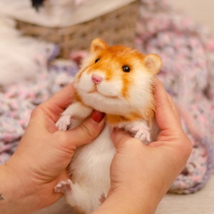 May include: A close-up of a small, orange and white hamster plush toy being held by two hands. The hamster has a pink nose and black eyes.