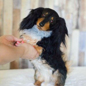 May include: A black and tan dachshund plush toy with red eyes. The toy is standing on its hind legs with its front paws raised. The toy is being held by a person's hands.