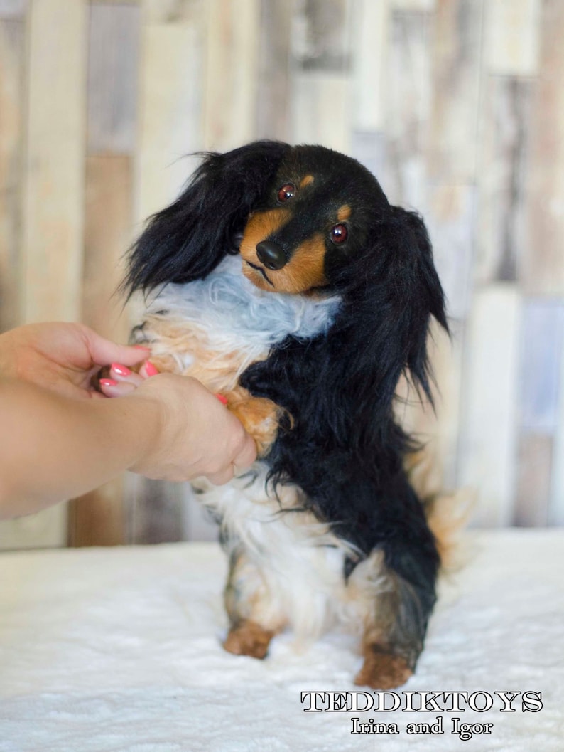 May include: A black and tan dachshund plush toy with red eyes. The toy is standing on its hind legs with its front paws raised. The toy is being held by a person's hands.