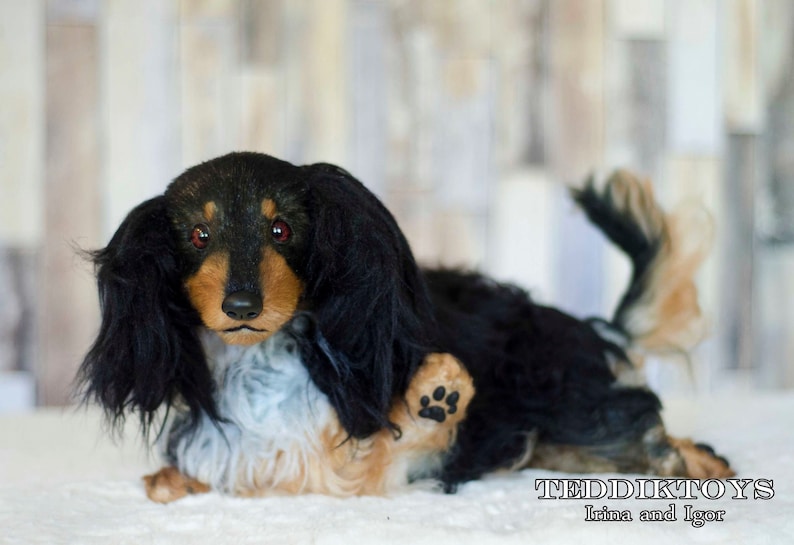 May include: A black and brown dachshund plush toy with a paw print on its leg. The toy has a long, black snout and brown eyes. The toy is lying on a white surface.