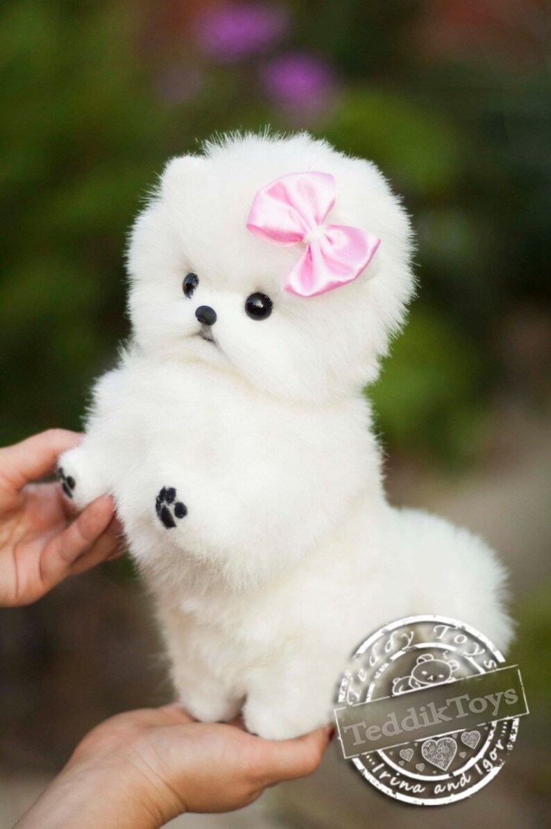 Chiot Spitz Mimi fait à la commande peluche chien petit Etsy