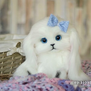 Bunny Solly , bunny toy, handmade toy , cute bunny , rabbit,gift (made to order)