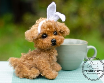 Price Teacup Poodle Full Grown Teacup Poodle Price Of A Teacup