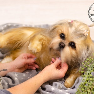 Realistic Shih Tzu Puppy: Handmade Collectible Plush Dog (Made to Order)