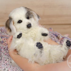 Realistic Handmade Puppy Plush – 50 cm Long, Poseable Soft Dog Toy, Custom Pet Replica