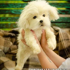 Handmade Realistic Shih Tzu Plush: Custom Pet Portrait Dog Art Toy (Made to Order)