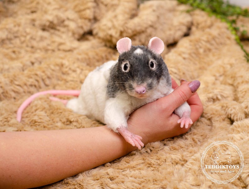 Pu&ograve; includere: Un giocattolo di peluche a forma di ratto con corpo bianco, testa nera e coda rosa. Il ratto &egrave; seduto sulla mano di una persona, con la testa inclinata di lato e gli occhi che guardano la fotocamera.