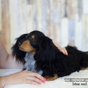 May include: A black and brown dachshund plush toy with long fur. The toy is lying on a white surface and a woman's hand is touching its head.